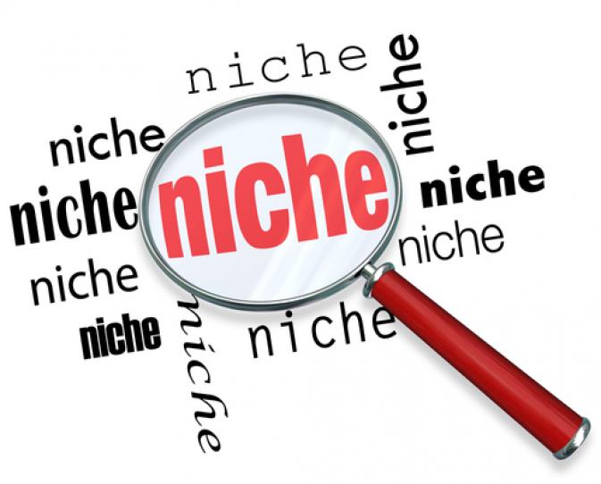 Find the right 'niche' to elevate your import/export business to new heights 1