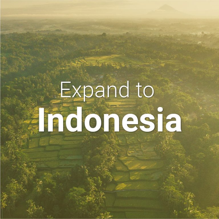 Indonesia E-commerce Market Insights 31