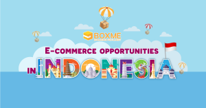 Indonesia E-commerce Market Insights 9