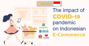 Indonesia E-commerce Market Insights 6